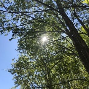 Meet your Posher, Susana